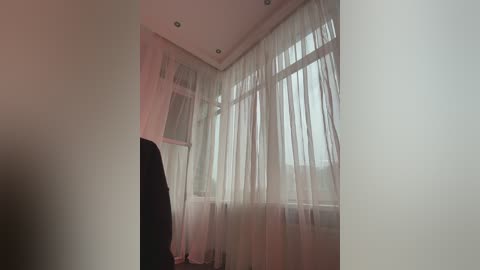 Media: A video of a modern, bright room with large windows draped in sheer white curtains, allowing natural light to flood in. The walls are painted in a soft beige, and a dark, possibly black, figure stands in the foreground, partially obscured by the curtains.