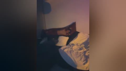 Media: Video of a dimly lit bedroom with a person sleeping on a bed covered in white sheets and a brown pillow. The room has a soft, ambient light casting a warm glow.