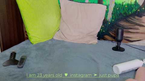 Media: Video of a messy bedroom with a gray blanket, a green pillow, a beige pillow, a black mic, and a remote control on a blue duvet cover.