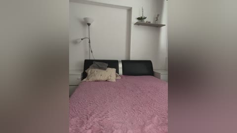 Media: Video of a minimalist bedroom with a black leather bed, a beige blanket, a white wall shelf with a small plant, and a modern white floor lamp.