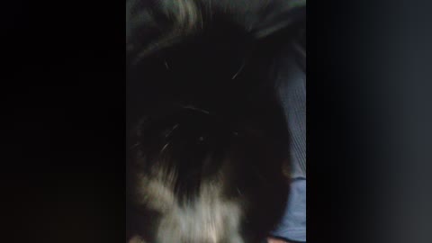 A video shows a person with dark hair and a black jacket, blurred and in motion, set against a dimly lit, indistinct background.