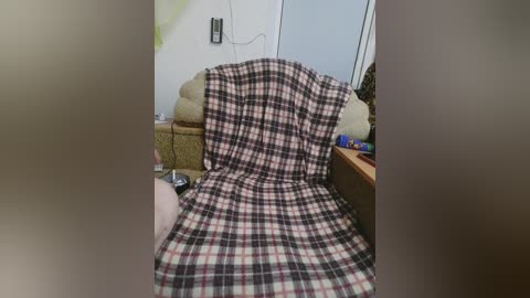 Video of a plaid-covered chair in a cluttered living room with beige couch, wall-mounted TV, and partially visible shelves.