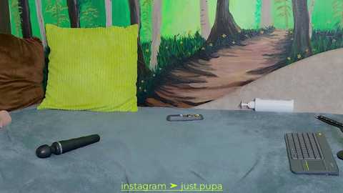 Media: Video of a minimalist desk with a grey blanket, green pillow, a black pen, and an open laptop. Background features a vibrant, detailed forest mural.