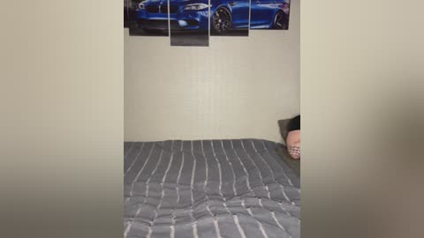 Media: Video of a small, dimly lit room with a gray-striped bedspread, beige walls, and a poster of a blue car above. Partially visible person with bare feet in the corner.