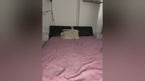 A video of a sparsely furnished bedroom with a pink, fluffy blanket covering a black headboard. A beige pillow with a subtle pattern lies on the bed. Minimalist decor includes a standing lamp and a small, white shelf in the background.