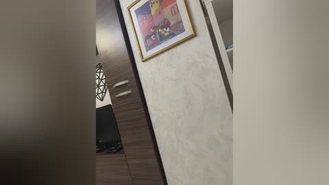 Video of a narrow hallway with a wooden door on the left and a beige wall with a colorful framed painting on the right.