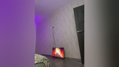 Media: A video of a modern, dimly lit bedroom with a dark grey door, a small TV displaying a fiery scene, and a fluffy grey rug on the floor.