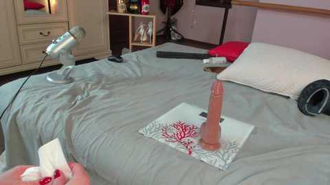 Video of a messy bedroom with a grey bed, a white lamp, headphones, a red dildo, and a white pillow, with a mirror and cabinets in the background.
