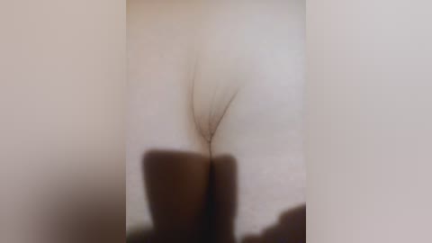 A close-up video of a nude female's vulva, showing light skin tone, with a soft, blurry background.