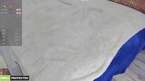 Media: Video of a folded, light gray blanket with a blue border on a bed, displaying a \"PROMO\" watermark in the bottom left corner.
