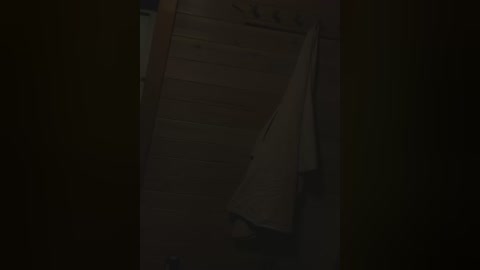 Media: A dimly lit, grainy video of a wooden staircase with a white towel hanging from a railing, creating a shadowy, moody atmosphere. The setting is likely a rustic or minimalist interior.