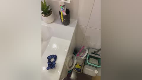 Media: A video of a white-tiled bathroom with a white bathtub, a blue towel, a potted succulent, and toiletries on a ledge. The sink area is cluttered with brushes, bottles, and a green plastic basket.