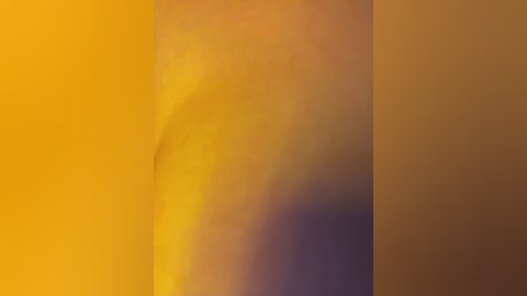 Media: A digital artwork featuring a vertical gradient of warm colors: golden yellow at the top, transitioning to rich amber and deep orange towards the bottom. The gradient creates a soft, flowing texture with no discernible objects or figures.