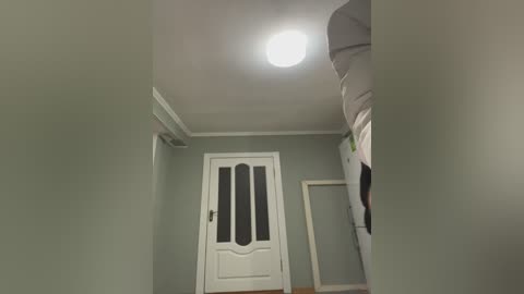 A video of a narrow, beige-painted hallway with a white door featuring frosted glass panels, a bright ceiling light, and a white-framed mirror leaning against the wall.