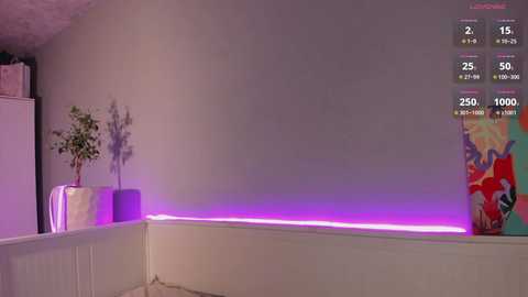 Video of a modern, minimalist room with a gray wall and a white baseboard. A purple LED strip illuminates the floor. A potted plant and a colorful painting are visible on the left.
