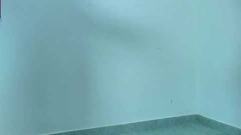 Media: Video of a minimalist room with a plain, light blue wall and gray floor. The room has a serene, empty feel with no furniture or decorations.