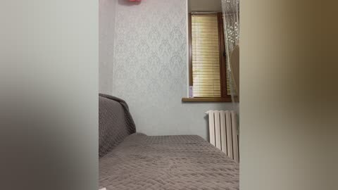 Video of a small, dimly lit bedroom with a bed covered in a quilted gray blanket, a window with partially closed blinds, and a radiator. The walls are textured with a subtle pattern.