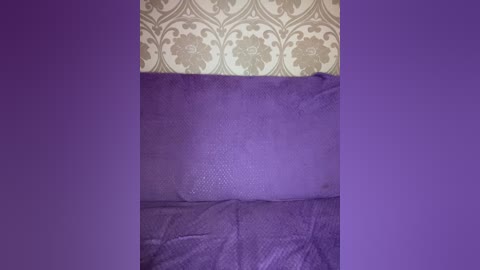 Video of a purple couch with a textured surface, set against a background with an ornate, damask wallpaper in beige and gold. The couch is centered, with the wallpaper above it and a solid purple wall on either side.