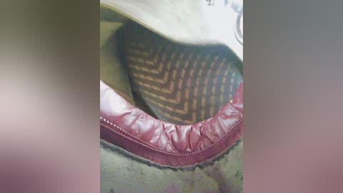 Media: A close-up video of a person's upper body, showing the inside of a maroon leather jacket with a beige interior and a woven pattern on the lining. The jacket is zipped up, revealing the lining's texture.