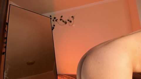 Media: Video of a room with a mirrored closet door reflecting a woman's bare buttocks, illuminated by warm orange light. The room features a cream-colored wall and a decorative, vine-patterned wall sconce.