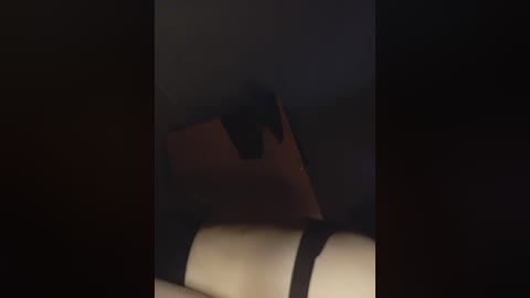 A dimly lit video of a woman in a black bra, leaning against a dark wall, holding a red purse with a black strap. The background is shadowy and indistinct.