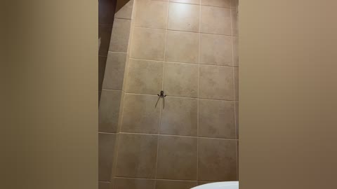 Video of a beige-tiled bathroom ceiling with a small spider in the center. The ceiling has a grid pattern, and the spider is slightly off-center to the right.
