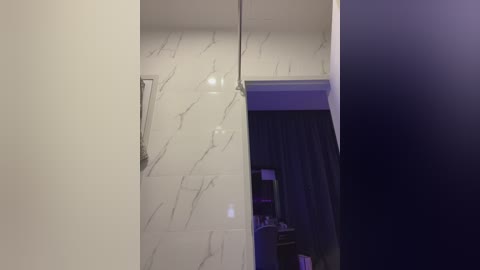 Video of a modern bathroom featuring white marble tile walls, a large glass shower door, and a pendant light hanging from the ceiling. A dark curtain partially obscures a vanity area in the background.