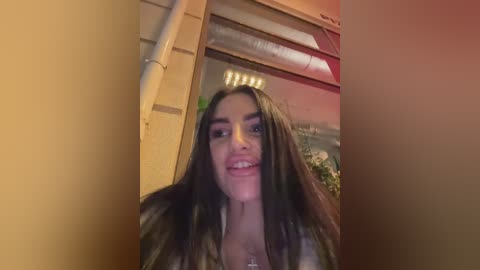 Media: Video of a young woman with long, straight brown hair and light skin, smiling, standing indoors with a warm, dimly lit background featuring a wall-mounted fan and a partially visible aquarium.