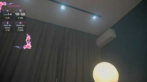 Video of a dimly lit room with black curtains, an air conditioner, and a pink flamingo hologram projected on the wall.