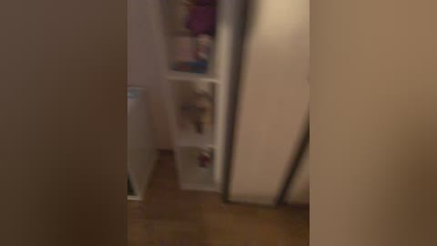 Video of a dimly lit, narrow hallway with beige walls and wooden flooring. In the background, a white shelving unit holds various items, including colorful containers and a framed picture. The scene is slightly blurred, adding a soft focus effect.