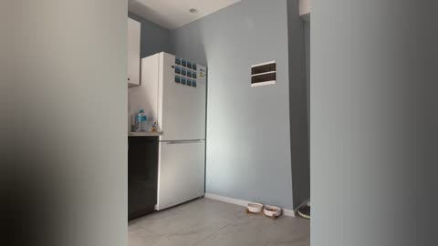 Media: Video of a small, modern kitchen with light grey walls, a white refrigerator, and a white sink with blue bottles. Grey concrete floor, two brown bowls, and a vent on the wall.