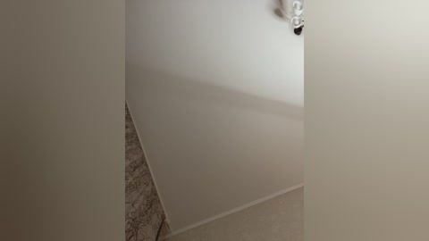 Media: Video of a corner in a modern room with beige walls and a marble-patterned floor, featuring a white ceiling light fixture. The image captures a minimalist, clean aesthetic.