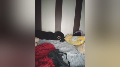 Video of a black cat with bright yellow eyes curled up on a bed with a grey blanket, a red fleece, and a yellow bottle, against a striped headboard.