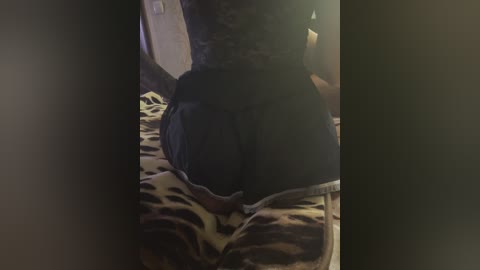 Video of a woman's lower torso and legs, wearing a black lace corset, seated on a bed with a leopard-print blanket. Her skin tone is light, and she appears to be of Caucasian ethnicity. The background is dimly lit with a beige wall visible.