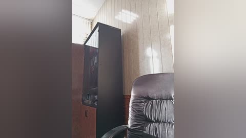 A video of a modern living room with a large, curved, upholstered chair in black leather. The wall behind the chair is covered in vertical, light wood paneling. A tall, dark wooden cabinet with glass doors is on the left, displaying a TV screen. The room is well-lit with natural light.