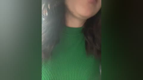 Media: Video of a woman with long, dark hair, wearing a green, ribbed, long-sleeved top, her face partially obscured by shadows and out-of-focus lighting.