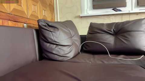 Video of a worn, dark brown leather sofa with visible creases, set against a wood-paneled wall with a TV above. A white power cord lies on the cushion, suggesting a plugged-in device. The room has a cozy, lived-in feel.