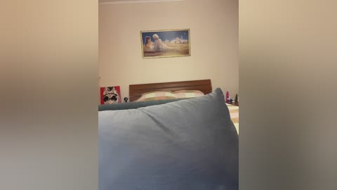 Video of a simple bedroom with a beige wall, a wooden bed, a framed painting of a sunset, and a plush pillow in the foreground.
