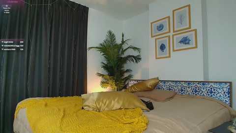 Video of a modern bedroom with a neatly made bed, adorned with yellow pillows and a yellow quilt, against a white wall featuring framed blue fish prints and a potted plant. Dark curtains cover the left side.