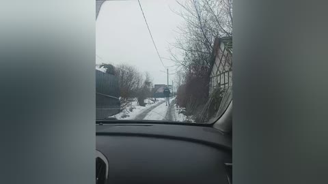 Media: Video of a snowy suburban street viewed from a car's windshield, showing a snow-covered road, leafless trees, and a distant house. The scene is overcast, with a muted color palette dominated by whites and grays.