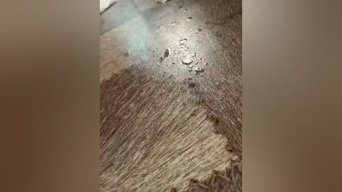 Media: Close-up video of a human scalp with wet, matted hair, revealing skin texture and moisture droplets. The image focuses on the top center of the scalp, with brown hair strands and a blurry background.