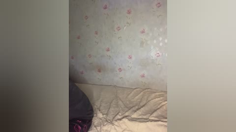 Media: Video of a corner of a room with beige wallpaper featuring small pink floral patterns. A beige bedspread is crumpled on the floor, with a dark object, possibly a bag, partially visible in the lower left corner.