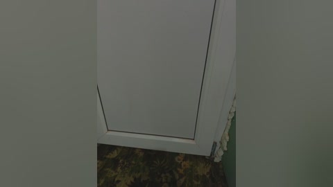 Video of a white-framed door with a narrow gap, set against a plain, light green wall. The floor is covered in a patterned, dark green carpet.