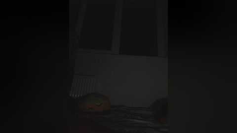 Video of a dimly lit bedroom with a child's stuffed animal, likely a panda, on a bed. The room has white walls and a window with blinds partially closed. The image is dark, creating a mysterious atmosphere.