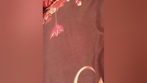 Video of a dark floral patterned dress with red and pink flowers, blurred background.
