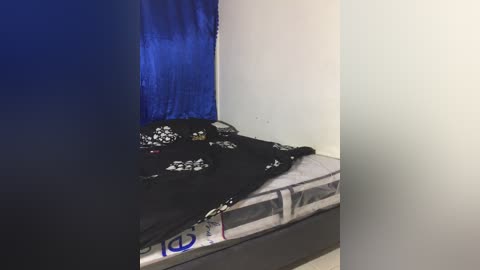 A video showing a black dog lying on a bed with white sheets, partially covered by a black blanket with white patterns, against a blue wall. The dog appears calm.