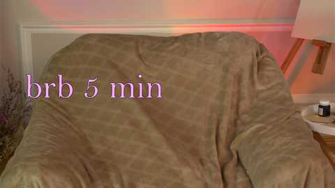 Video of a beige blanket covering a couch in a living room, with \"brr 5 min\" text in purple overlay, warm lighting, and a lamp on the right.