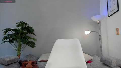 Video of a minimalist spa room with a reclining chair, a tall floor lamp, a potted plant, and cushions on a gray couch.
