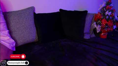 Video of a cozy bed with a black comforter, gray and black pillows, and a small Christmas tree with red and white ornaments in the corner.