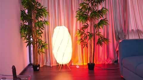 A video of a modern living room with a large, glowing paper lantern on a stand, surrounded by tall potted plants, against a backdrop of draped curtains in soft pink and white, with a blue sofa in the foreground.